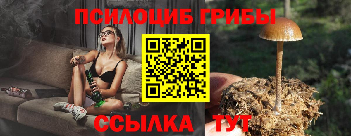 Псилоцибиновые грибы Magic Shrooms  Вход с VPN  Россошь 